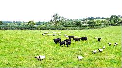 Lower End Town Farm, Lampeter Velfrey, Narberth, Pembrokeshire, SA67 8UJ