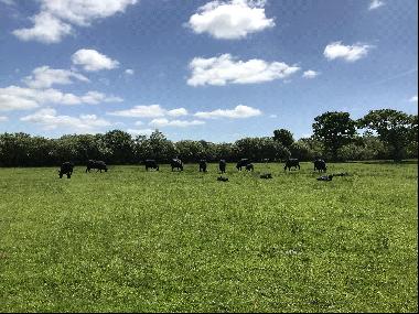 Lower End Town Farm, Lampeter Velfrey, Narberth, Pembrokeshire, SA67 8UJ