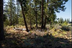 0 Hosmer Lake Drive #Lot 289 Bend, OR 97702