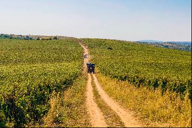 Romania