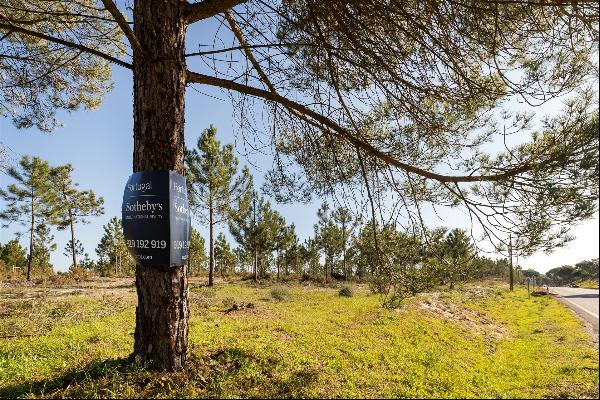 Real estate land for Sale