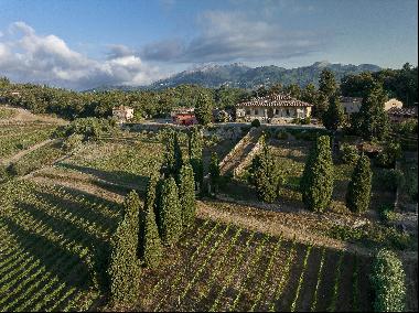 The Forci Estate is a majestic estate immersed in the Tuscan countryside and overlooking t