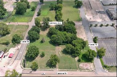 724, Lot 20 Fannin Street Street, Shreveport LA 71101