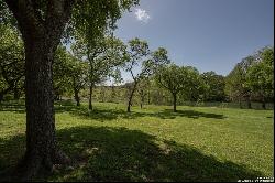 850 Bluff Ridge Ct, New Braunfels TX 78132