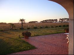 Waterfront farm in Laguna de Rocha