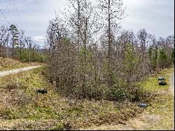 Lot12/14 Lake Forest Lane, Bland VA 24315