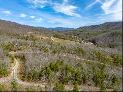 Lot12/14 Lake Forest Lane, Bland VA 24315