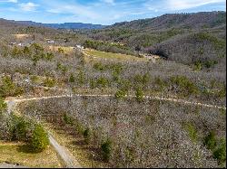 Lot12/14 Lake Forest Lane, Bland VA 24315