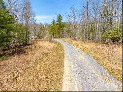 Lot 6 N Sunset Lane, Bland VA 24315