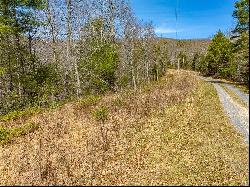 Lot 5 N Sunset Lane, Bland VA 24315