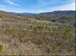 Lot 5 N Sunset Lane, Bland VA 24315