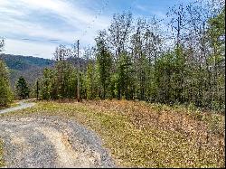 Lot 5 N Sunset Lane, Bland VA 24315