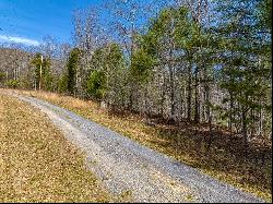 Lot 5 N Sunset Lane, Bland VA 24315