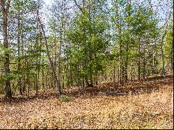 Lot 5 N Sunset Lane, Bland VA 24315