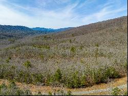 Lot 5 N Sunset Lane, Bland VA 24315