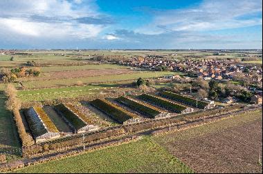 Foston Lane Poultry Farm, North Frodingham, Driffield, East Yorkshire, YO25 8JZ