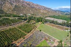 Uitsig Orchards, Erf # 754, Van Riebeeck, VIlliersdorp, Western Cape, 6848