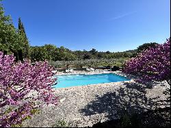 MAGNIFICENT DOMAIN BETWEEN VINEYARDS AND GARRIGUE NEAR PEYRIAC MINERVOIS