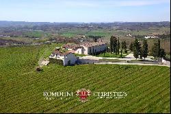 ORGANIC WINERY WITH AGRITURISMO FOR SALE IN CHIANTI, FLORENCE