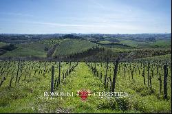 ORGANIC WINERY WITH AGRITURISMO FOR SALE IN CHIANTI, FLORENCE