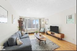 53 BoeRUM PLACE 5D in Downtown Brooklyn, New York