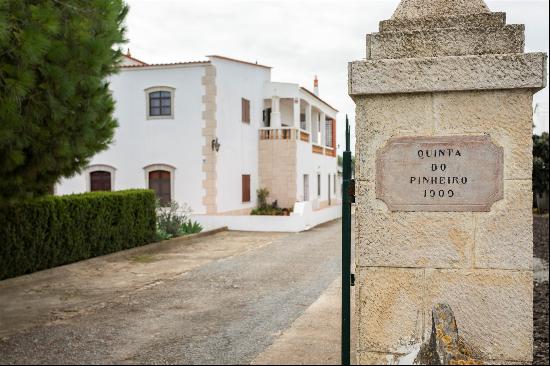 Tavira