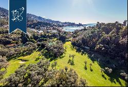 Residential complex surrounded by the olive trees that are typical of Ligurian landscapes 