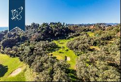 Residential complex surrounded by the olive trees that are typical of Ligurian landscapes 