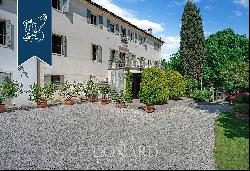 Villa of great historical and artistic prestige with vineyard in the heart of Veneto