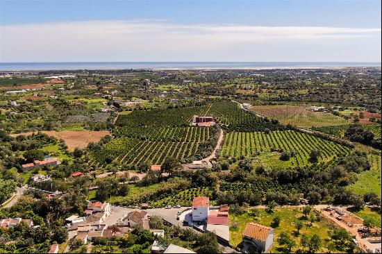 Tavira