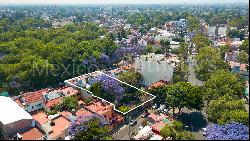 Casa De la Jacaranda, Coyoacán