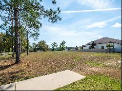 30100 Bretton Loop, Mount Dora FL 32757