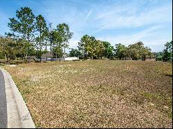 30100 Bretton Loop, Mount Dora FL 32757