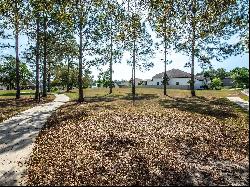 30100 Bretton Loop, Mount Dora FL 32757