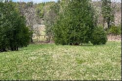 CRAIGS FOREST - BLOWING ROCK