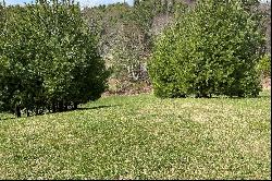 CRAIGS FOREST - BLOWING ROCK