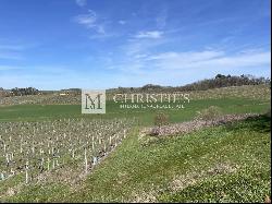 For sale at 10 min from Sainte Foy la Grande, vineyard estate of 60 ha, AOC Bergerac and 