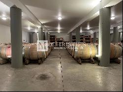 For sale at 10 min from Sainte Foy la Grande, vineyard estate of 60 ha, AOC Bergerac and 