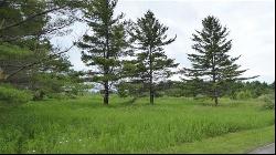 Lot 73 Country Drive, Charlevoix MI 49720