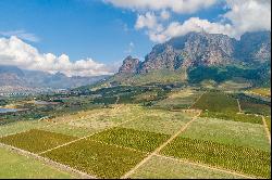 Plaisir Wine Estate Farm 7, Simondium, Cape Winelands, Western Cape, 7670