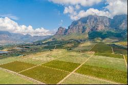 Plaisir Wine Estate Farm 6, Simondium, Cape Winelands, Western Cape, 7670