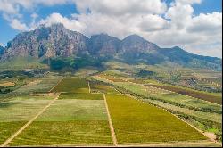 Plaisir Wine Estate Farm 6, Simondium, Cape Winelands, Western Cape, 7670