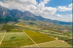 Plaisir Wine Estate Farm 6, Simondium, Cape Winelands, Western Cape, 7670