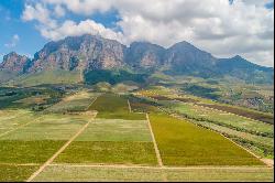 Plaisir Wine Estate Farm 6, Simondium, Cape Winelands, Western Cape, 7670