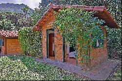 House on wooded land with a spring in Araras