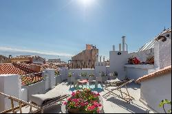 Hôtel particulier, commercial premises, roof terrace