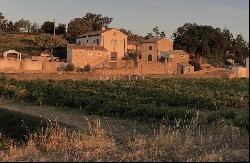 Beautiful Vineyard in the Gard 34 ha with organic vines in AOP Cotes du Rhone, with gites.