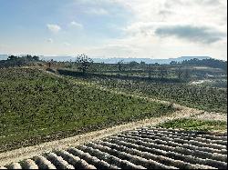 Beautiful Vineyard in the Gard 34 ha with organic vines in AOP Côtes du Rhône, with gîtes.