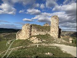 Unique opportunity to sell the Castle of Cogolludo and adjoining property.