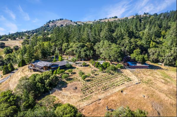 20799 California 128, Yorkville, CA 95494